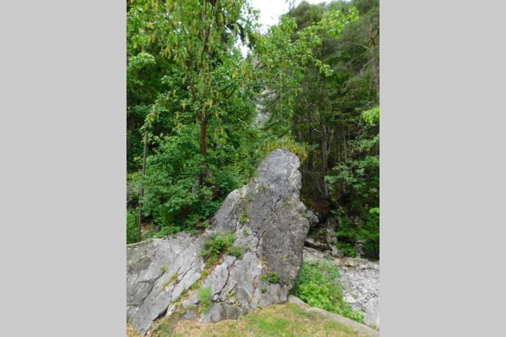 Rezidenca Mitja Villa Kranjska Gora Eksteriør bilde