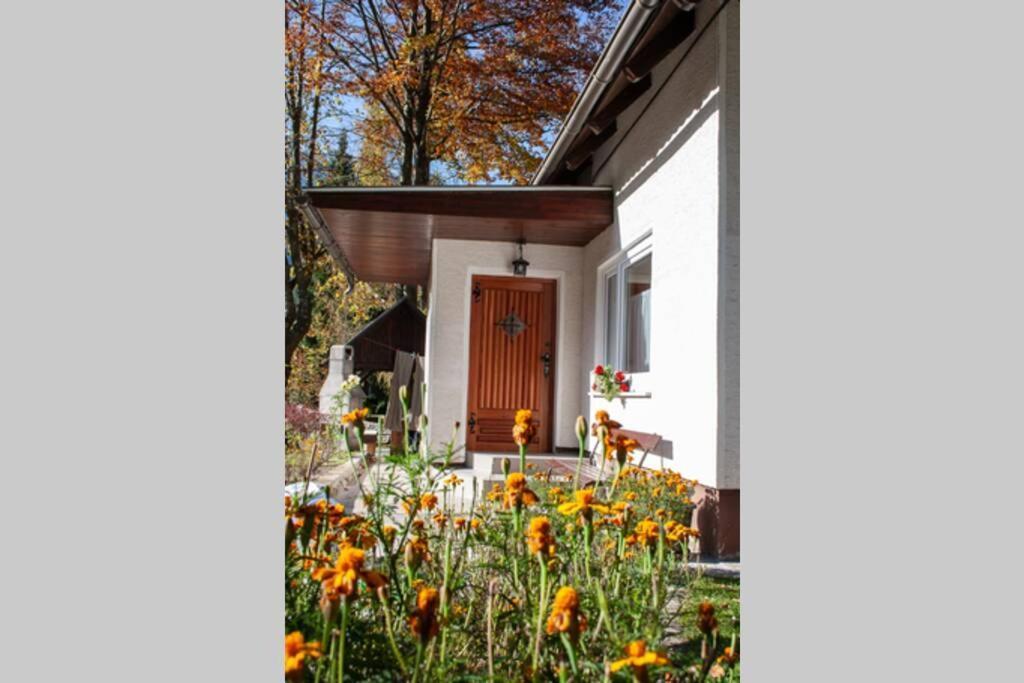 Rezidenca Mitja Villa Kranjska Gora Eksteriør bilde